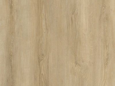 Valle de primavera 3